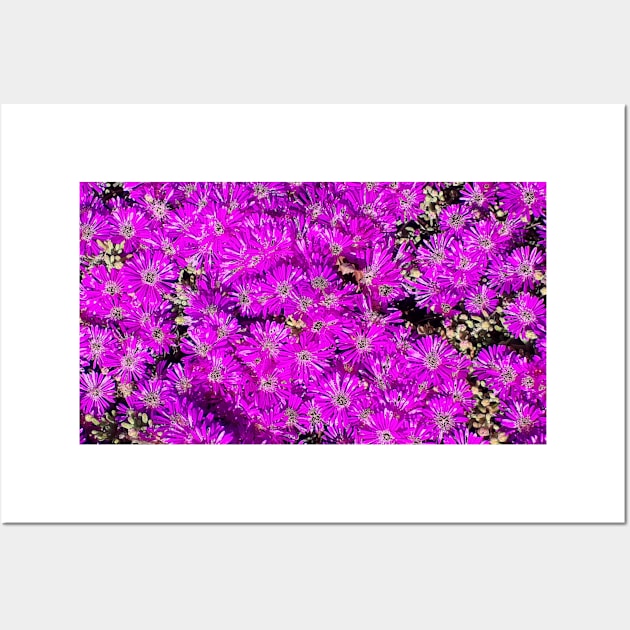 Pink Flower Bed Photography My Wall Art by ShubShank